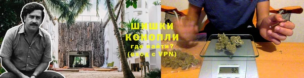 прущие крисы Пересвет