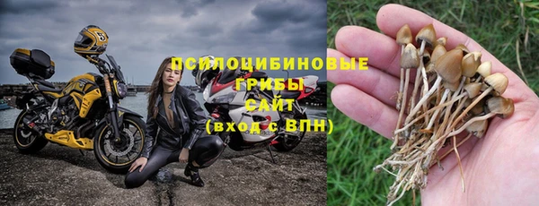 экстази Богданович