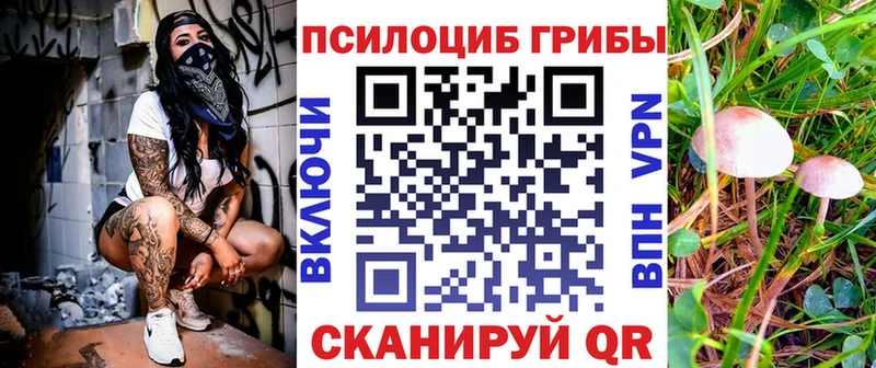 Галлюциногенные грибы ЛСД  blacksprut как войти  Нелидово 